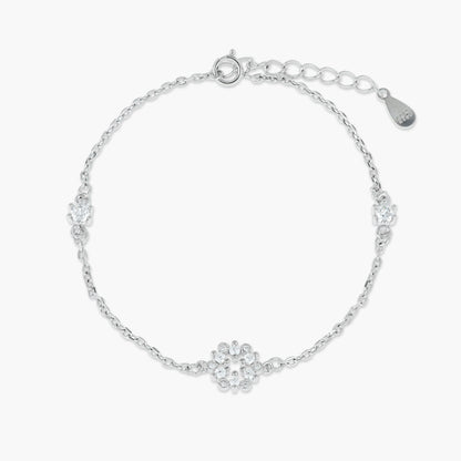 Product image [120-3-0.jpg]