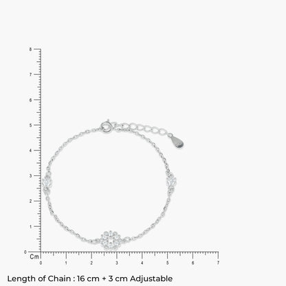 Product image [120-4.jpg]