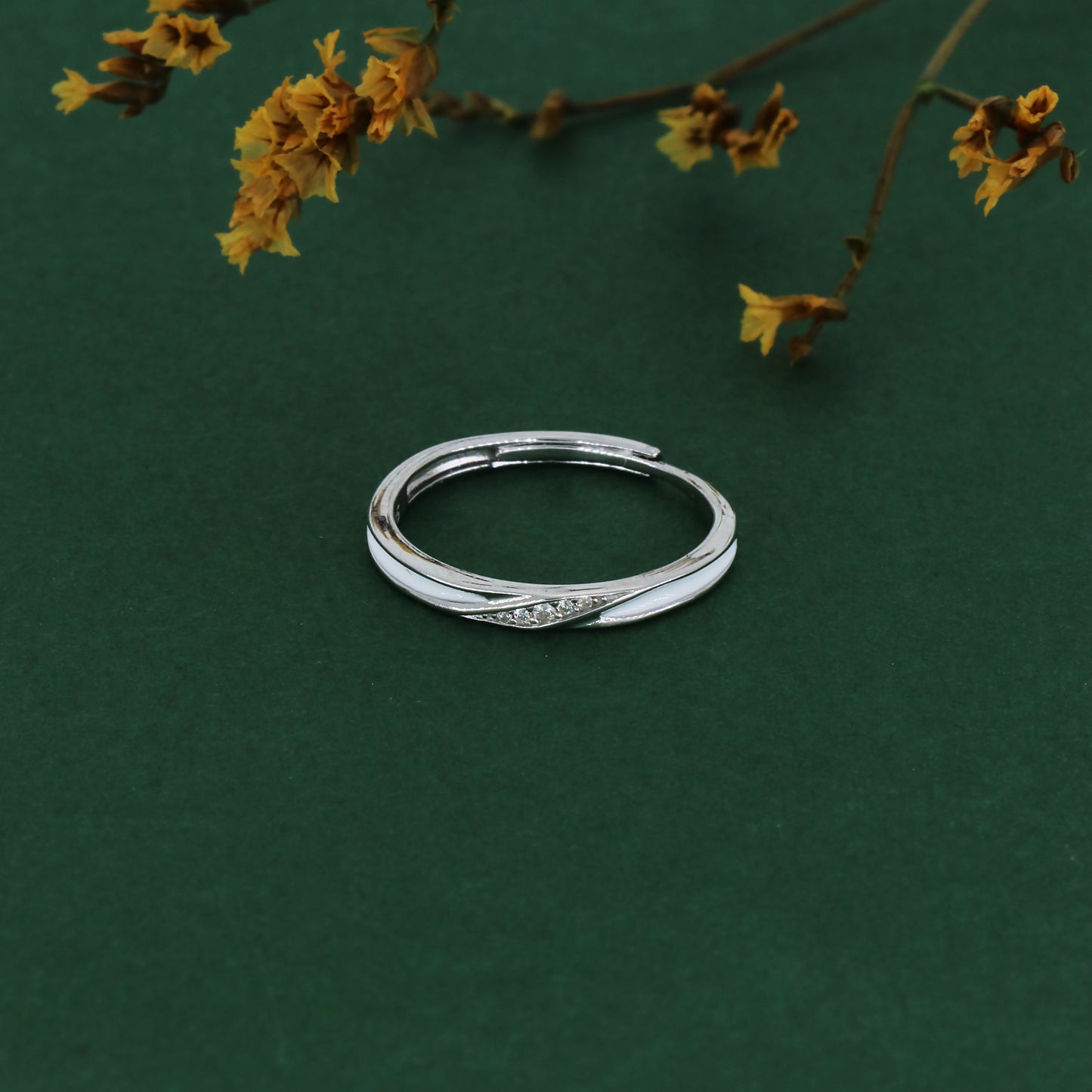 Product image [204-0.jpg]