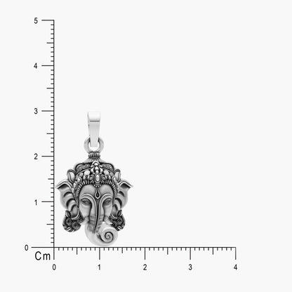 Product image [46-4-1.jpg]