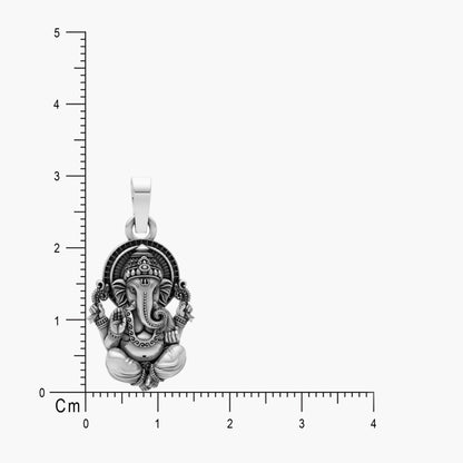 Product image [47-4-0.jpg]