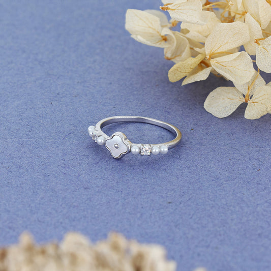 Product image [68-1-0.jpg]