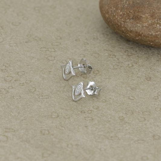 Product image [78-1-2.jpg]